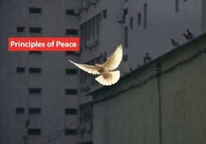 Principles of Peace